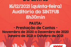 assembleiageral16122021redes2